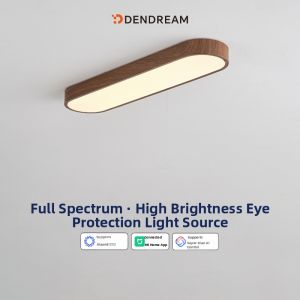 DENGJIAN | Walnut Color LED Long Strip Light