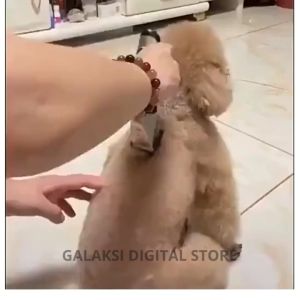 BERGARANSI BaoRun K5 Alat Mesin Cukur Elektrik Bulu Hewan Domba Kambing Kucing Anjing Dengan Charger