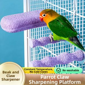Beak and Claw Grooming Bird Stand