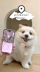 PET X : PetX Smart Tracker เครื่องติดตามสัตว์เลี้ยงอัจฉริยะ สำหรับระบบ IOS เท่านั้น (Smart Tracker + Case)