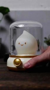 Đèn Ngủ Trang Trí Decor Phòng Ngủ Bàn Làm Việc Quà Sinh Nhật Ngọn Lửa Cute Dễ Thương