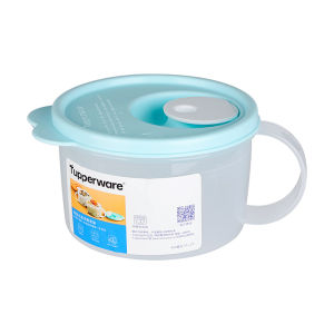 Tupperware | Anti-Overflow Portable Bento Box
