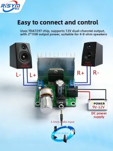 Risym | Noise-free 12V Dual-channel Amplifier Board