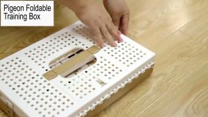 Foldable bird cage Pigeon Training release cage for pigeon parrot budgie cockatiel lovebirds Tbox