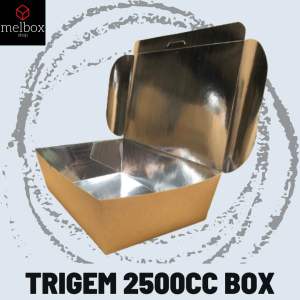 [50 pcs] 2500cc SILVER Trigem Laminated Brown Meal Box