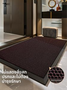 Minimalist Elastic Silk Dust-proof Stain-resistant Entryway Door Mat
