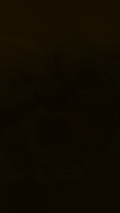 PLG38R PUTARAN BALING-BALING MESIN CUCI / PULSATOR LG 38CM ROLLER PLS-14