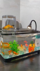 Aquarium Fish Tank Desk Goldfish Aquarium Office Ecological Fish Tank Mini Fish Tank with LED Light Water Pump
