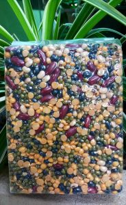 ถั่ว 5 สี ออร์แกนิค ขนาด 1 Kg แบบดิบไม่ผ่านการแปรรูป ธัญพืชจากธรรมชาติ