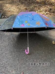 Student Light Window Cartoon Princess Long Handle Umbrella