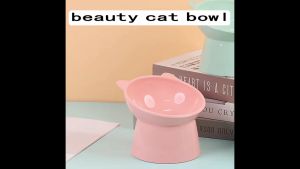 Anti-Spill Tilted Elevated Plastic Pet Feeding Bowl – Relieves Cat Vomiting Protects Pet Health
