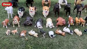 Realistic Pomeranian Dog Figurine Simulation Pet Animal Model Statue Cute Ornament for Car Dashboard Desk Home Decor Collection