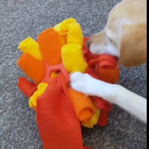 Dog Sniffing Ball Innovative Pet Shaking Training Toys for Pet Training Tooth Cleaning Puppy Chew Relieve Boredom Dog Toy