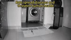 60 years without rats Layee Rat repellent Ubat tikus Mouse repellent for rats Powerful rat repellent for home 老鼠驱赶药 Ubat halau tikus