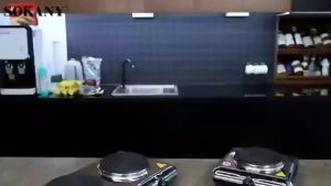 เตาไฟฟ้า 2 หัว เตาแม่เหล็กหัวคู่ เตาไฟฟ้า2หัว 2000W Double Electric Stove for cooking