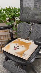 Đệm Dày Mùa Đông Mùa Hè
