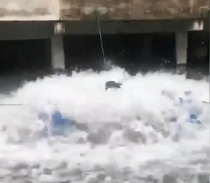 Máy Sục Khí Ao Cá 3 Phao Chuyển Đổi Tần Số - Máy Bơm Cánh Quạt 1.5KW 220V Nuôi Trồng Thủy Sản