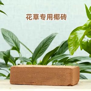 Coconut brick nutrient soil general purpose coir for raising flowers plant flower soil vegetable soil low-salt planting soil