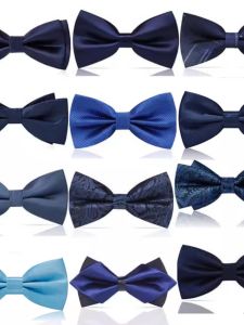 LIESHANG | Business Wedding Blue Bow Tie