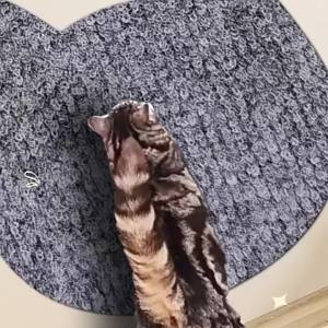 Non Slip Self Adhesive Cat Scratching Board Wall Mounted Cat Scratching Pad Durable And Cuttable Indoor Furniture Protector