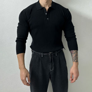 High-End Knitted Slim Fit Polo Shirt Mens New 2025 Casual Long Sleeve Turn-down Collar Base Layer T-shirt Upper Body