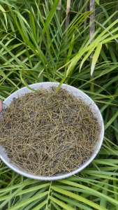 Trà giảo cổ lam khô hảo hạng 1kg - tấn phát - Hàng sạch chuyên dùng để cải thiện sức khoẻ - Hỗ trợ ổn định đường huyết
