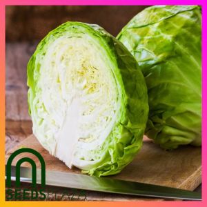 SeedsPLAZA™ - Repolyo Seeds for Planting Vegetable Plants (25 Seed) + Planting Instructions for Repollo Cabbage F1