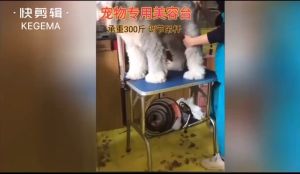 Pet Grooming Table Foldable Grooming Table Heavy Duty Iron Frame with Arm & Noose for Dog Cat Pet Grooming宠物美容桌