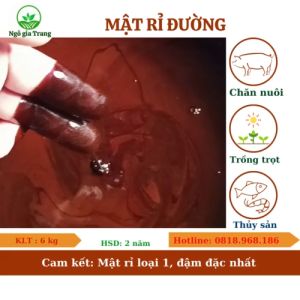 Mật rỉ  ủ phân chuồng ủ rác thải nhà bếp làm đạm cá xử lý nước thải xử lý nước ao nuôi ủ cỏ ủ thức ăn chăn nuôi.[ Can 30 kg ]