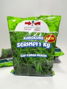 Benih Kangkung Serimpi Organik: Cara Menanam & Mengoptimalkan Hasil