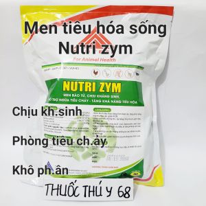 Men tiêu hóa Nutrizym bổ sung lợi khuẩn giúp tăng cường tiêu hóa khô phân