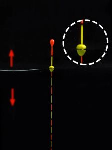 โฟมตัวช่วยในการอ่านทุ่น ชิงหลิว สปิ๋ว โฟม EVA 5 คู่ (10 ชิ้น)