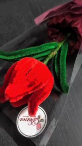 Buket Bunga Tulip Mini: Kado Hadiah Murah