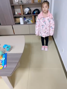 Snake Potato Chips Prank / Snake Toy / Mainan Prank Ular Snake