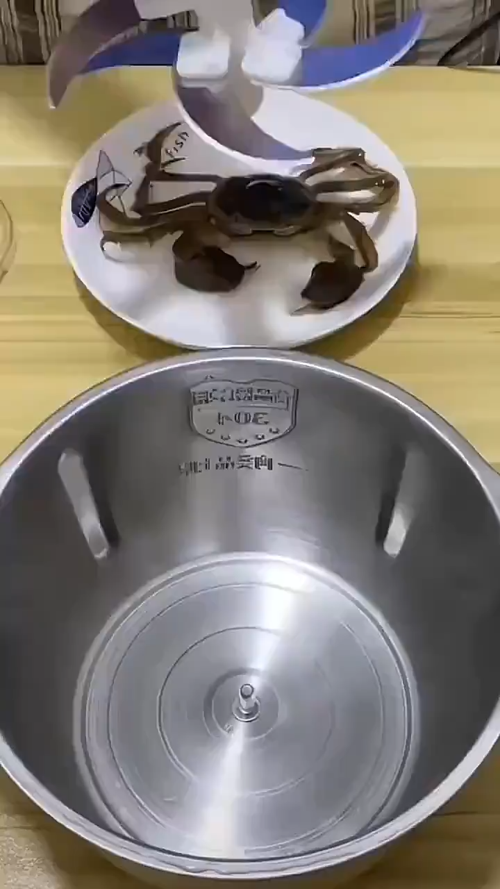 Meat Grinder Blender Chili Blender Pork Grinder 2L/5L Stainless Steel Blender Jar Strong and Durable Body Low Noise