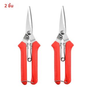 กรรไกรตัดแต่งกิ่งแบบตรง 1/2 ชิ้น ด้ามจับกันลื่น สแตนเลส อุปกรณ์ทำสวน สำหรับบอนไซและสวนในบ้าน