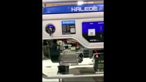 Petrol Camping Pasar Malam Penjana 4000W Portable Gasoline Generator Set Household Outdoor High quality Generator Petrol