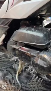 Razux Motux 240ml (Engine renewer) (Motorcycle Care)