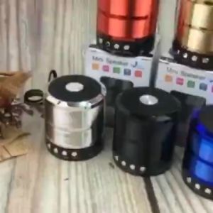 Loa bluetooth nghe nhạc mini WS 887 cầm tay nhỏ gọn có dây đeo cổng kết nối USB jack cắm 3.5mm thẻ nhớ kết hợp đài FM