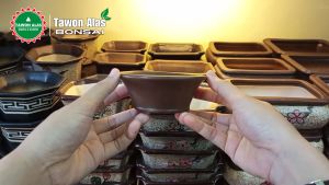 Pot Keramik Bonsai Bundar Kecil Bagus