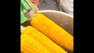 Corn Peeler Corn Stripper Corn Peeling Tool Stainless Steel Corn Peeler For Kitchen Cooking Corn Fast Peeling Corn Kernels 玉米脱粒器