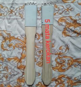 Parutan kelapa muda model mi