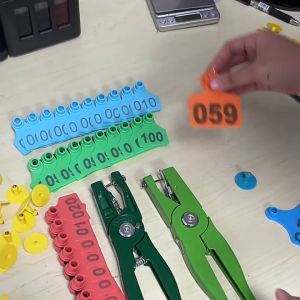 20Pcs 5x4cm Pig Ear Tag Goat Eartag Livestock Ear Tag Applicator Plier