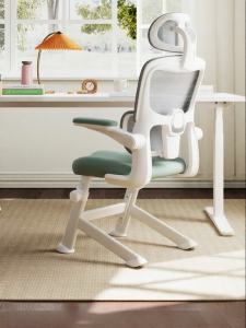 QIMIAOWU | Ergonomic Student Study Chair