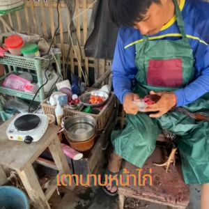 เตาไฟฟ้านาบหน้าไก่ชน  เตาประคบไฟฟ้าไก่ชนเฮอริเคน  เตาไฟฟ้าสำหรับ นาบหน้าไก่ 500วัตต์