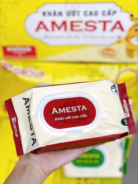 Khăn ướt không mùi AMESTA 120 tờ | Lazada.vn