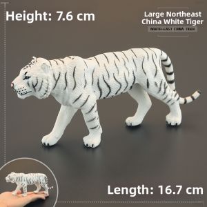 MENGSILE | Realistic Animal Educational Childrens Toy Models