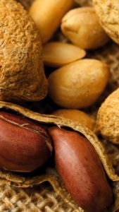 DELMANNi SALTED PEANUTS 100g/250g/500g