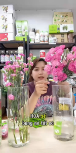 10 Gói dưỡng hoa tươi nhập khẩu Longlife 5gr giúp 10 bình hoa lâu tàn và 14 ngày không thay nước