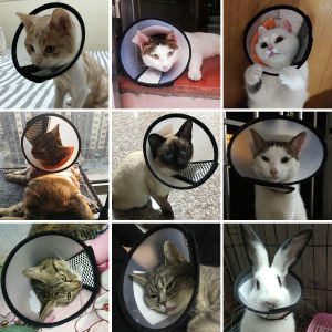 Postoperative Pet Grooming Cover Cat Accessories for Cats Wound Healing Cone Dog Collar Gato Kedi Protector Mascotas Supplies [HATELI]